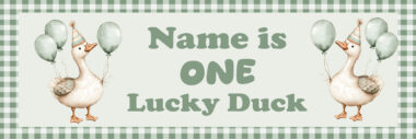 Lucky Duck Banner